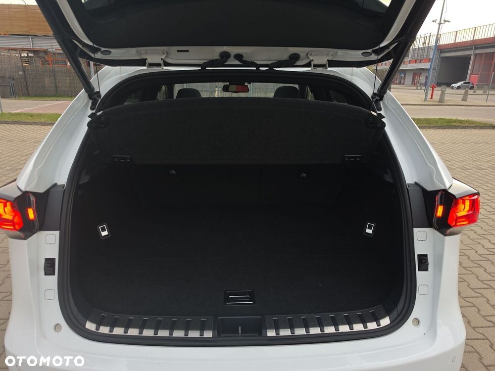 Lexus NX 300h F Sport AWD - 33