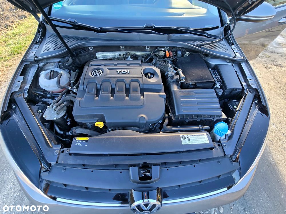 Volkswagen Golf - 17