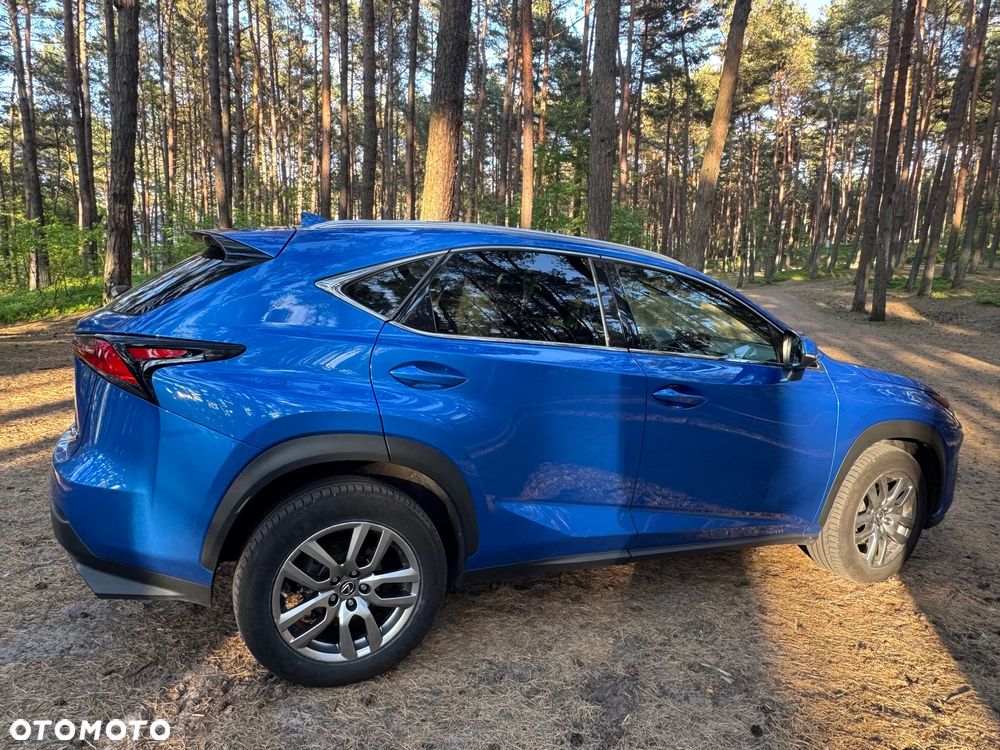 Lexus NX 300 Elegance AWD - 12