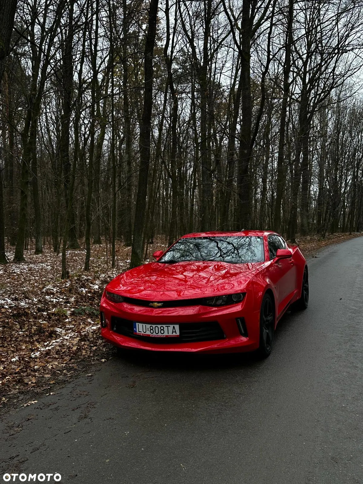 Chevrolet Camaro - 10