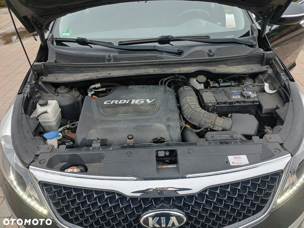 Kia Sportage - 29