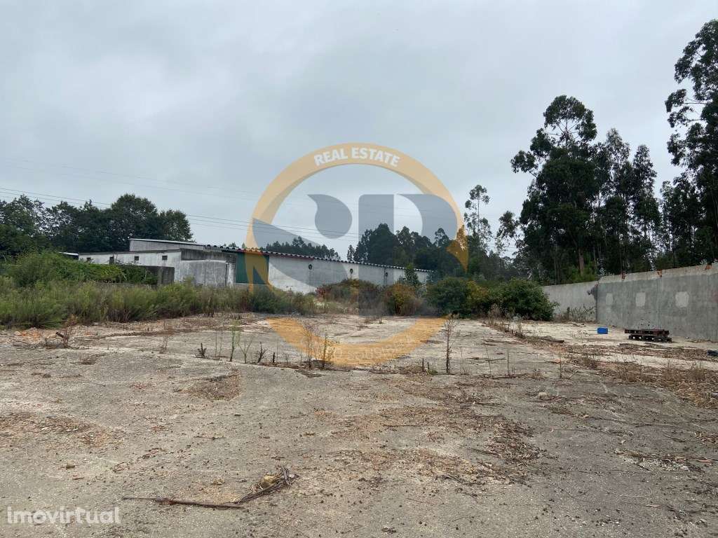 Armazém Oliveira de Azeméis - Grande imagem: 2/4