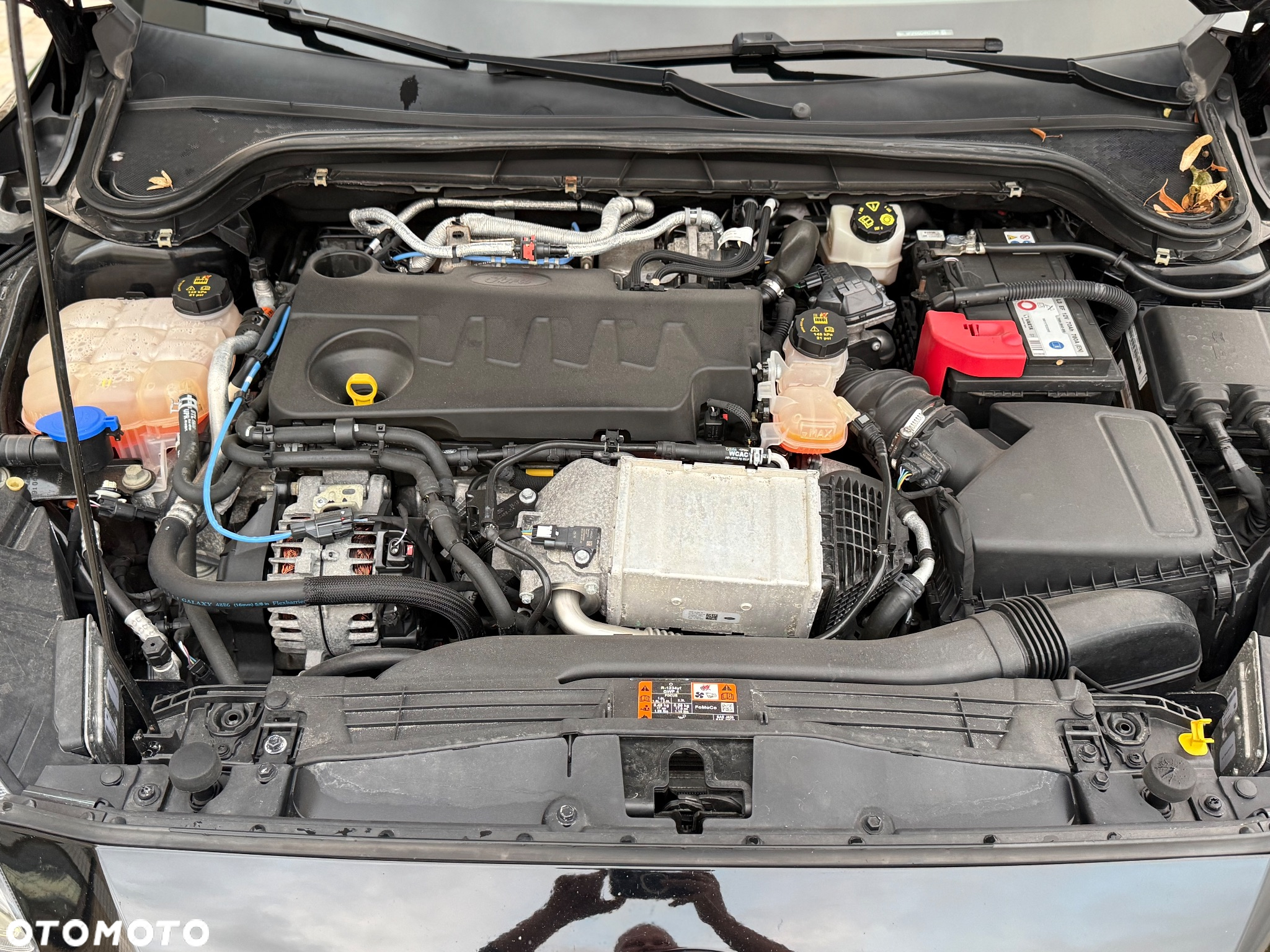 Ford Focus 2.0 EcoBlue Titanium - 14