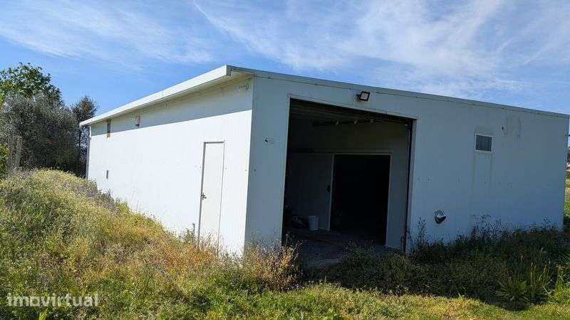 Arrendo estufa com 2600m2 - Grande imagem: 2/8
