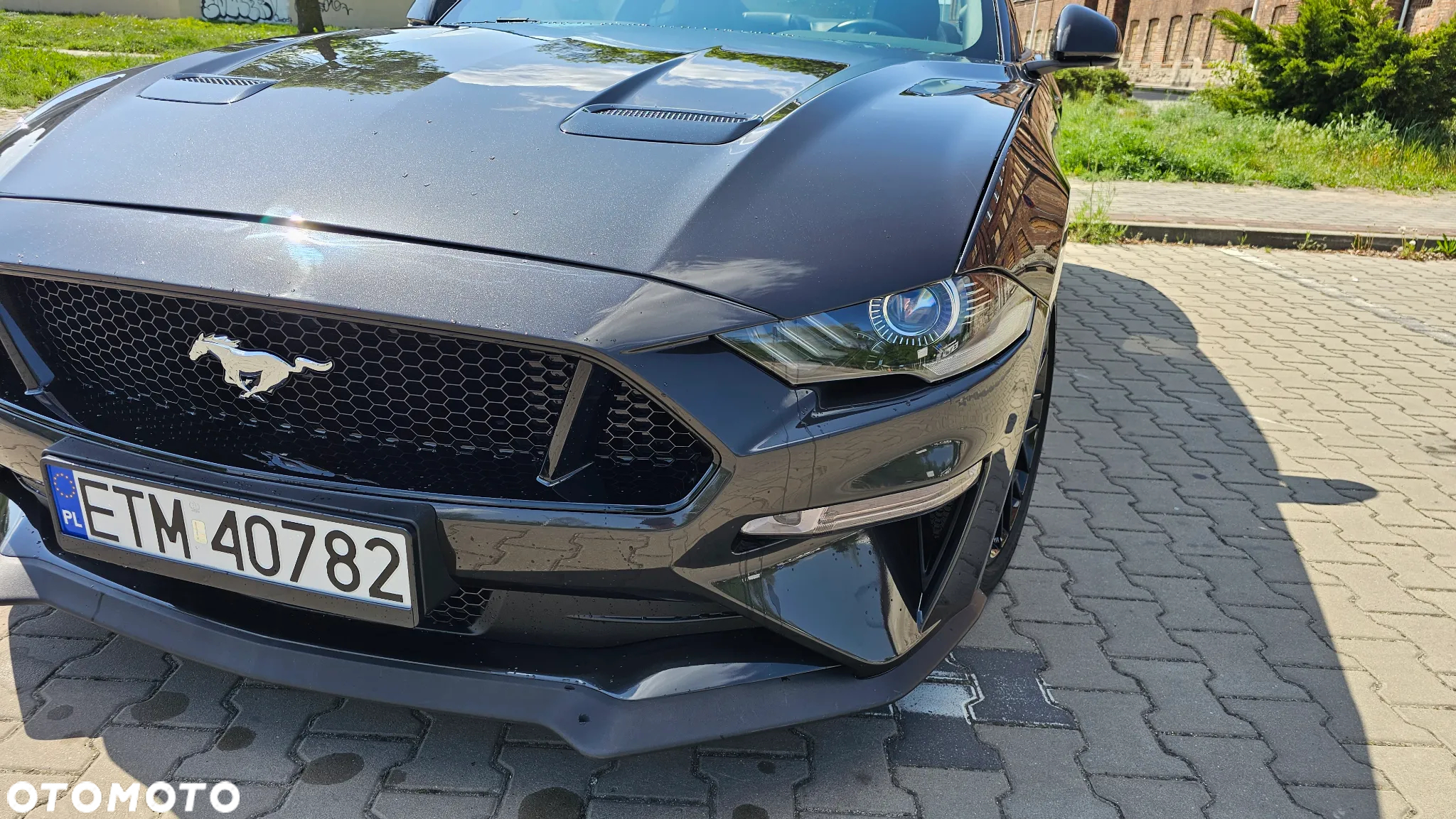 Ford Mustang 5.0 V8 GT - 2