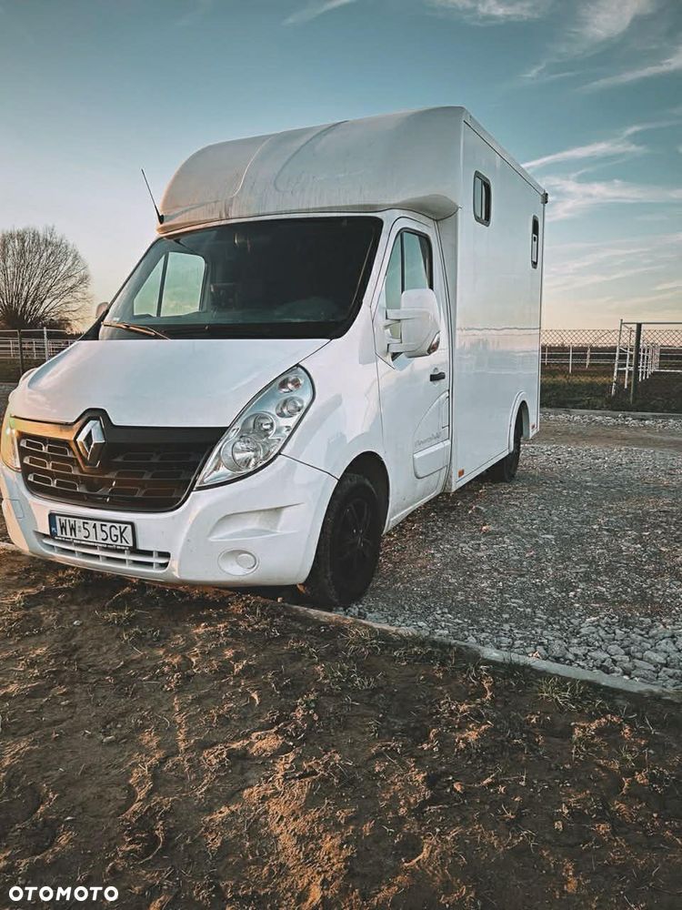 Renault Master Koniowóz na 2 konie - 1