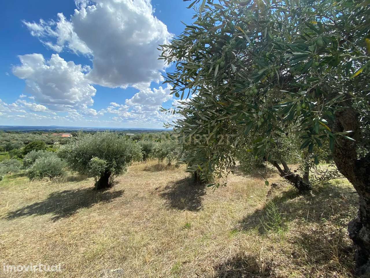 Quinta em Alpedrinha, Fundão - Grande imagem: 4/10