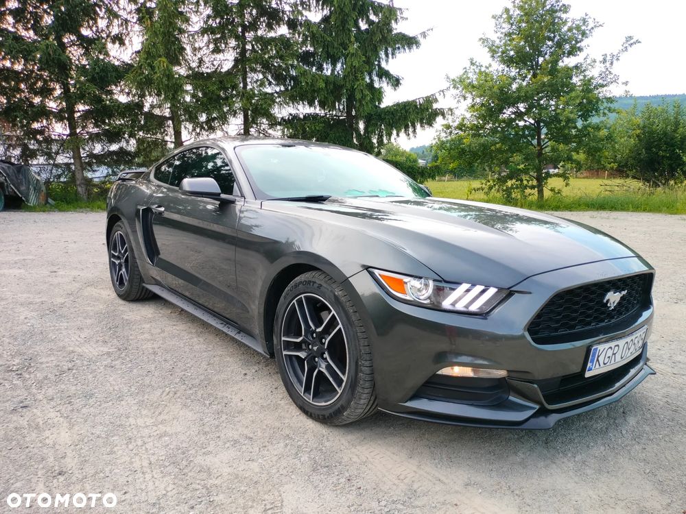 Ford Mustang 3.7 V6 - 3