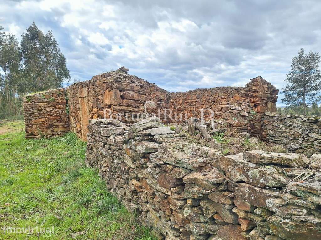 Propriedade com 3,5 ha e construções para recuperar - Grande imagem: 3/27