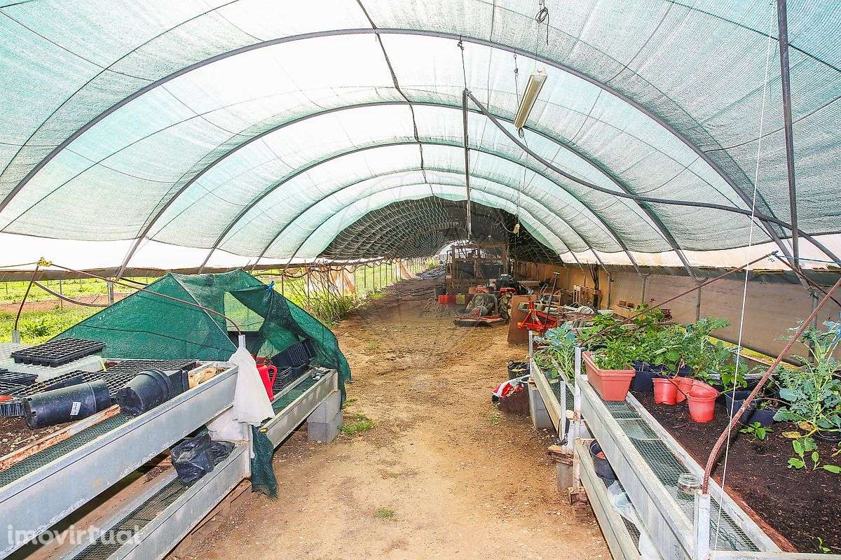 Quinta  para venda - Grande imagem: 5/49