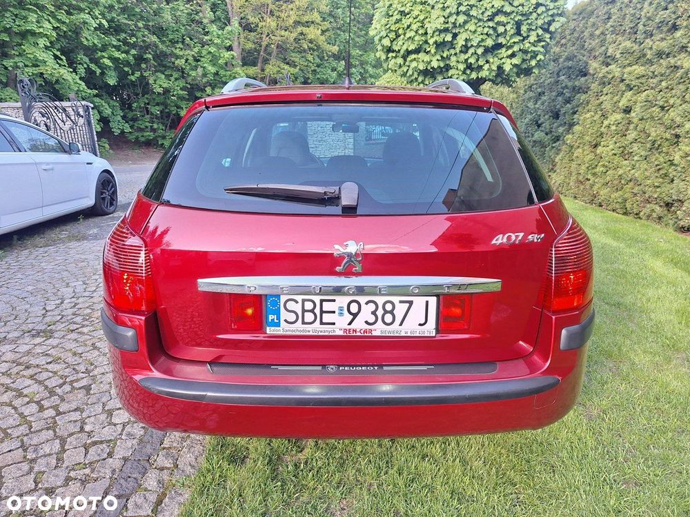 Peugeot 407 - 25