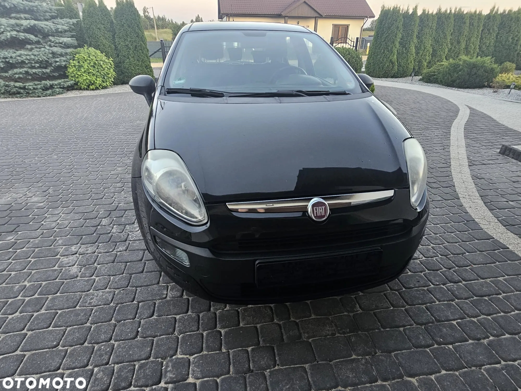 Fiat Punto 1.2 8V Classic - 2