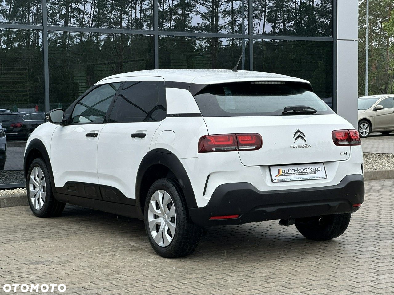 Citroën C4 Cactus 1.2 PureTech Feel S&S - 8