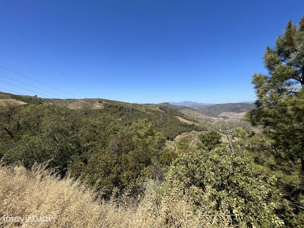 Terreno em Armamar, Vila Seca - Grande imagem: 4/9