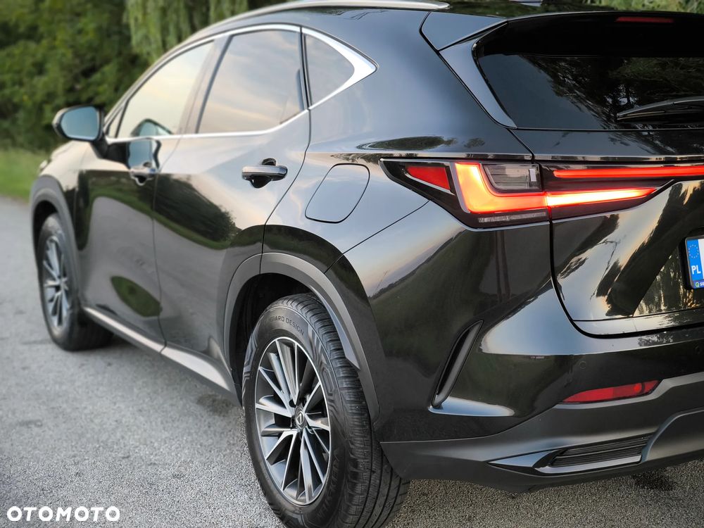Lexus NX - 12