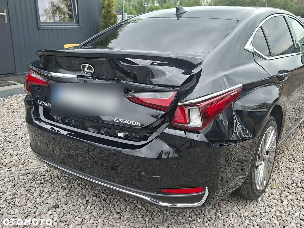 Lexus ES 300h Omotenashi - 12
