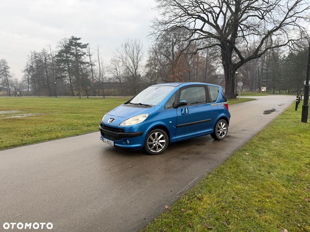 Peugeot 1007 - 4
