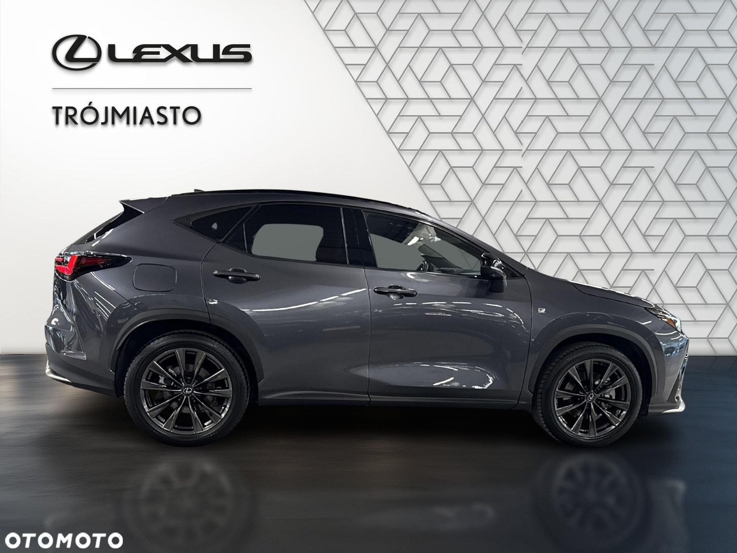Lexus NX - 6