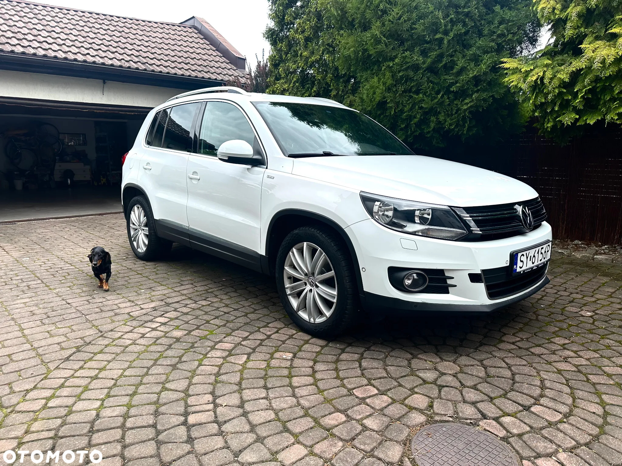 Volkswagen Tiguan 1.4 TSI BlueMotion Technology Sport & Style - 2
