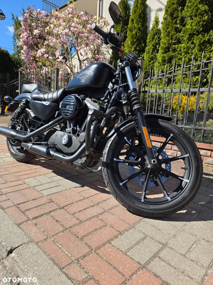 Harley-Davidson Sportster Iron 883 - 3