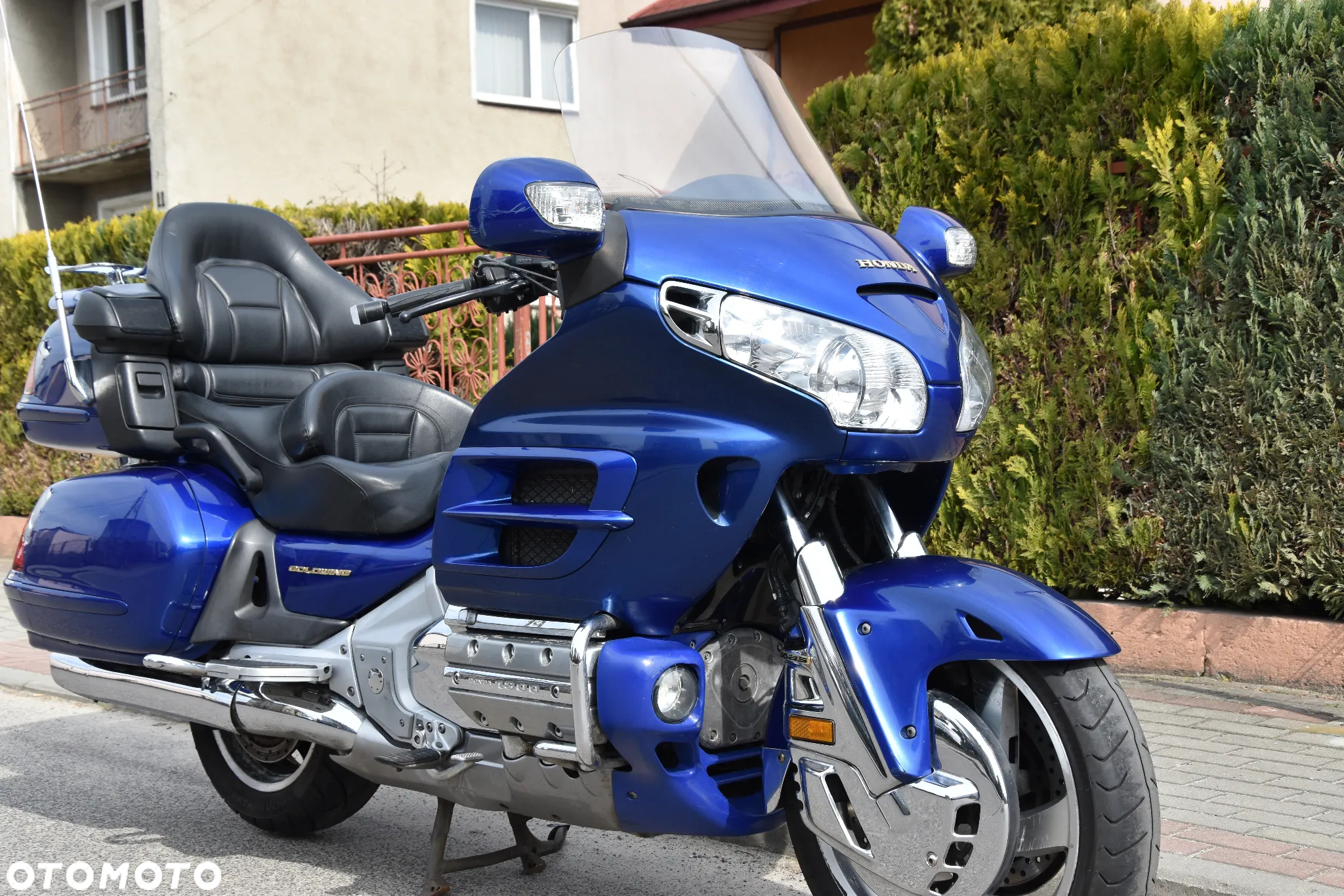 Honda GL - 6