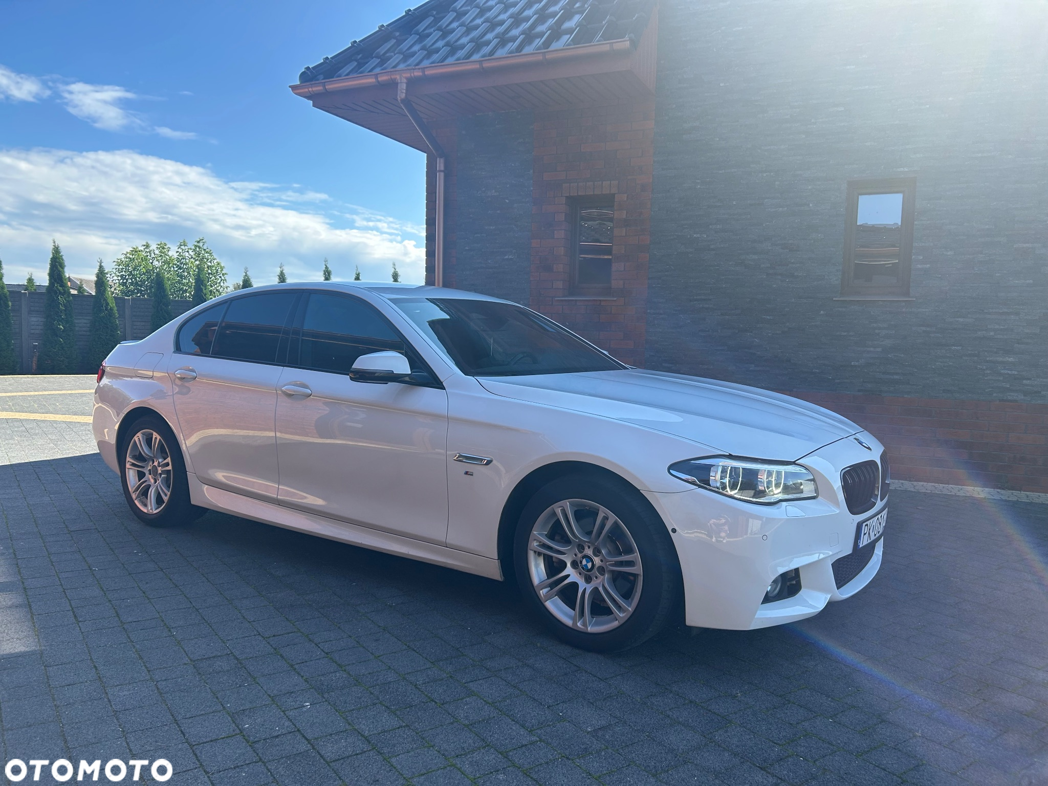 BMW Seria 5 520d xDrive - 10