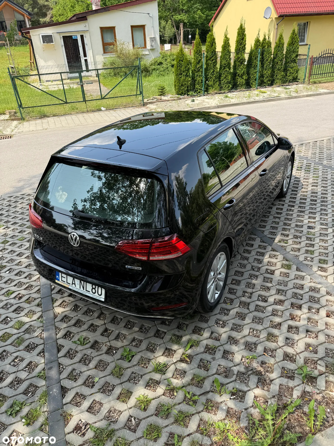 Volkswagen Golf - 28