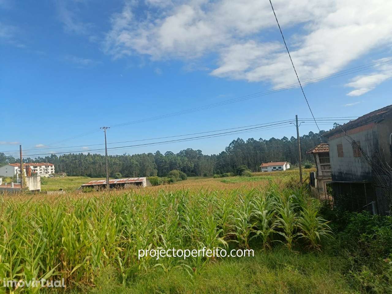 Moradia para Restaurar T2 Venda em Oliveira de Azeméis, Santiago de Ri - Grande imagem: 5/9