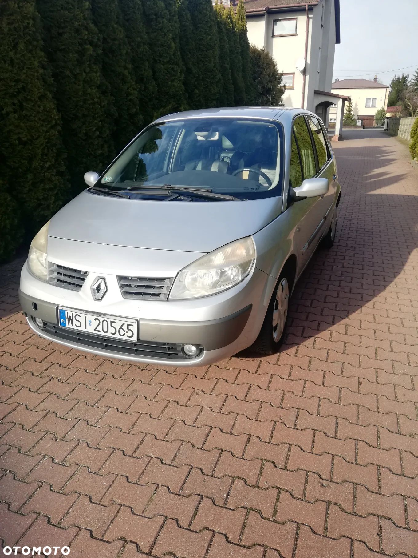 Renault Scenic 1.9 dCi Confort Authentique - 1