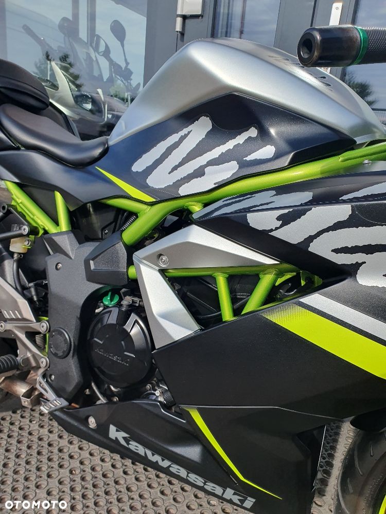 Kawasaki Ninja - 25