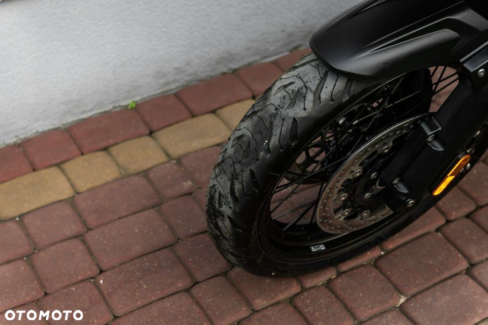 Triumph Tiger - 7