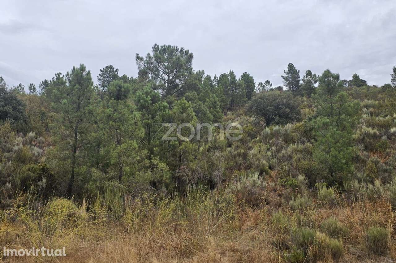 Terreno agrícola com 26.330 m² - Grande imagem: 3/7