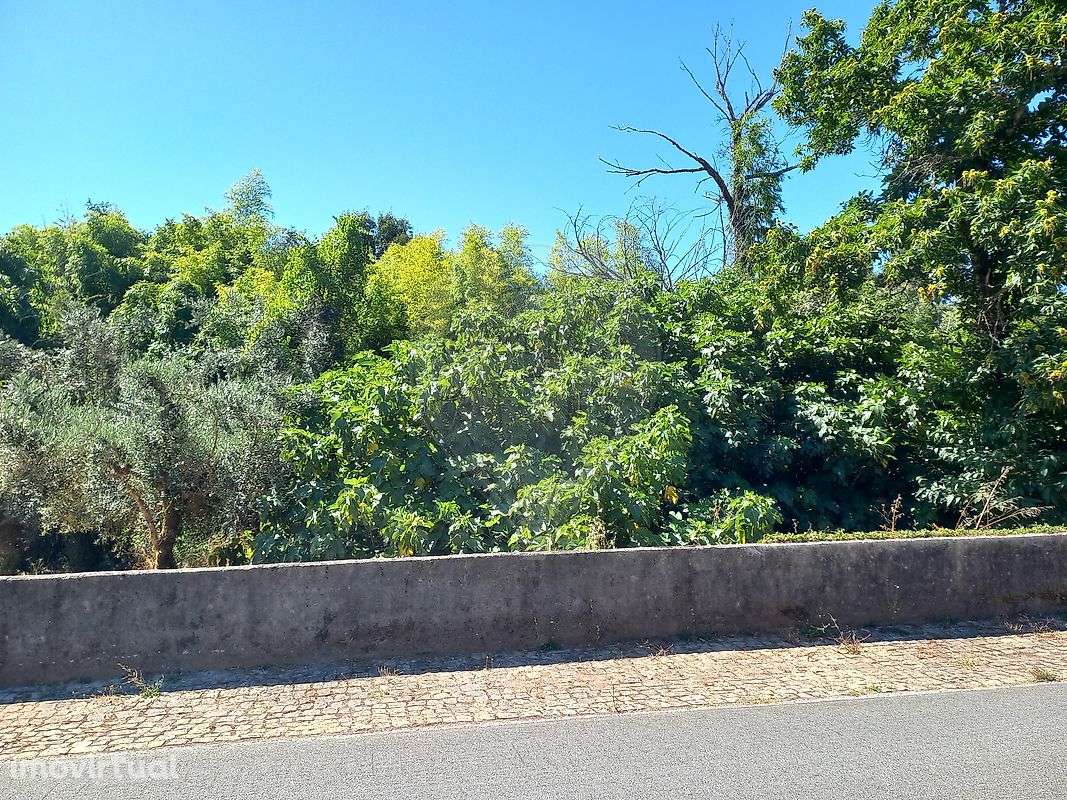 Terreno  para venda - Grande imagem: 3/7