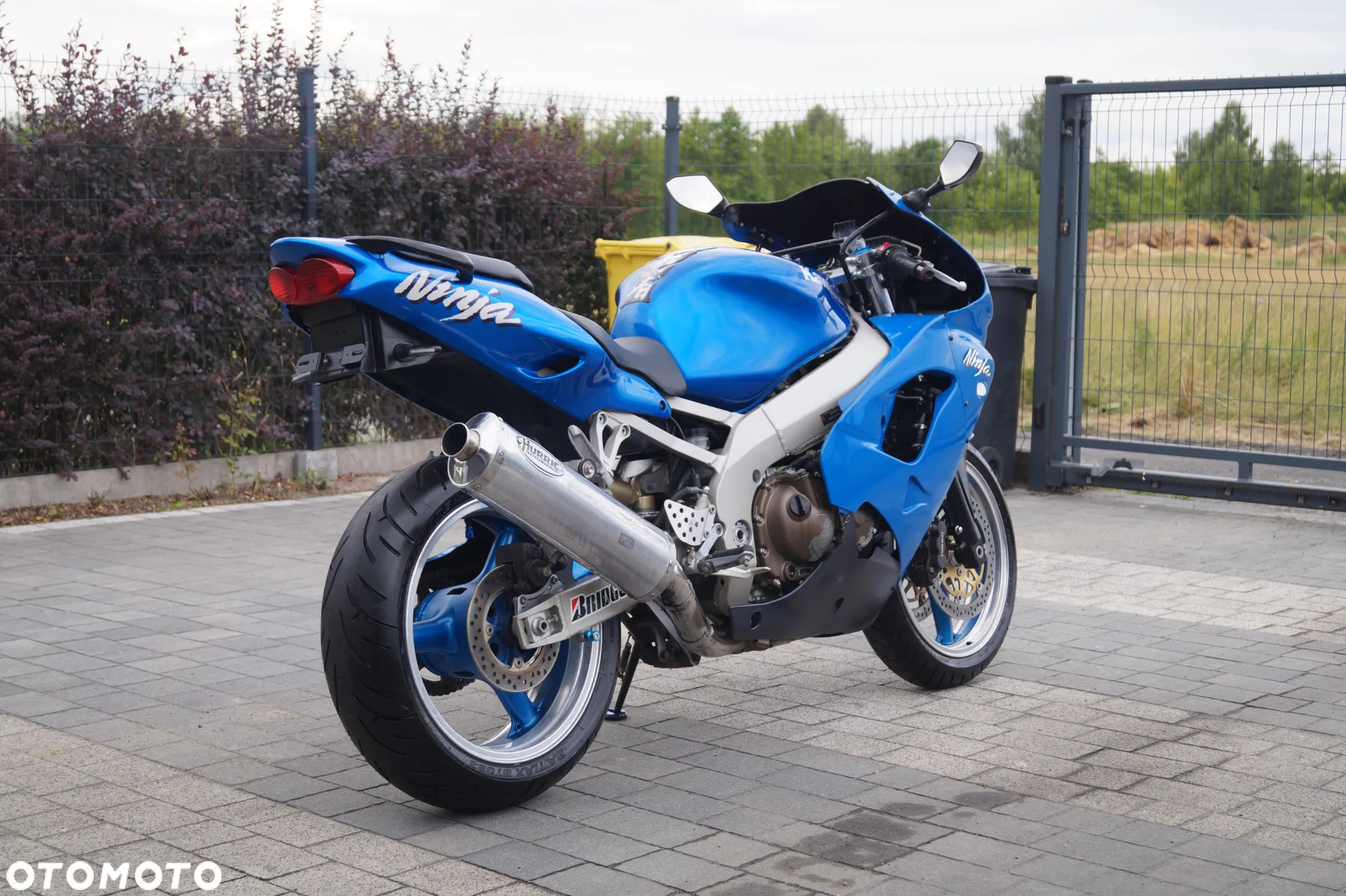 Kawasaki Ninja - 10