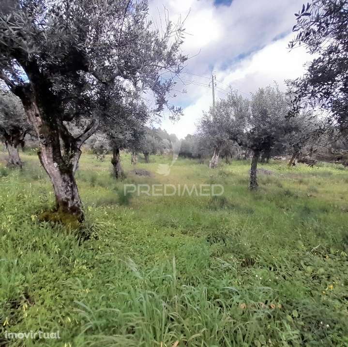 Quinta - Grande imagem: 3/16