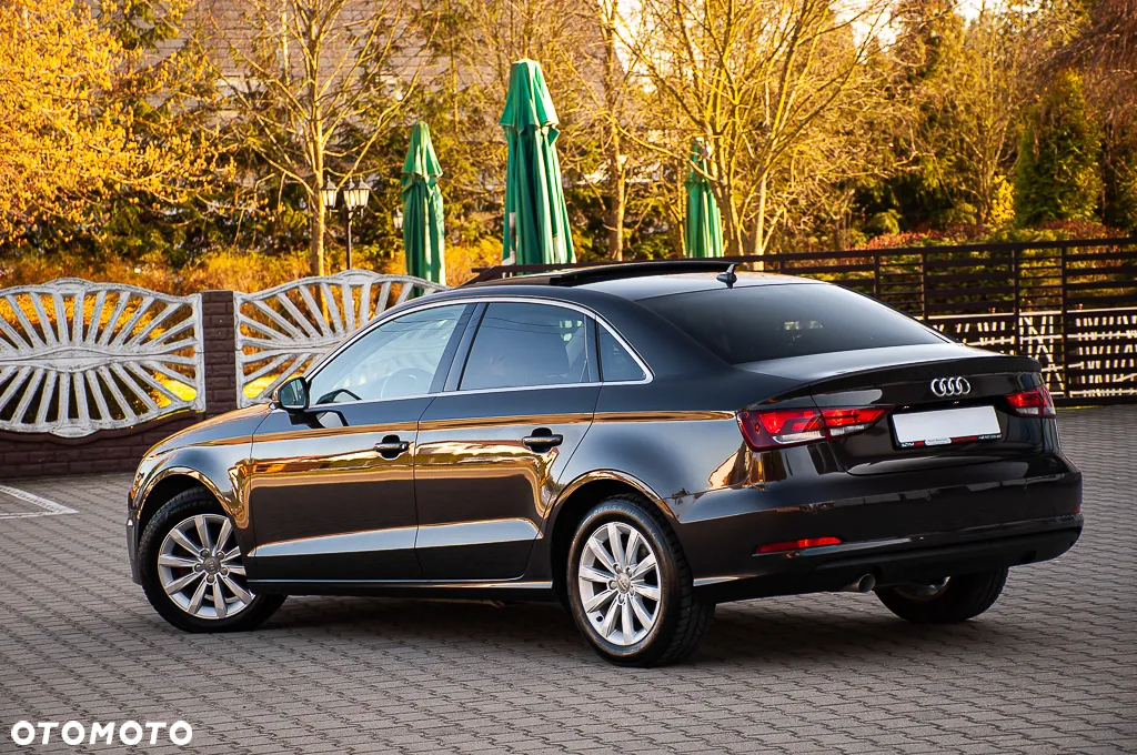 Audi A3 1.6 TDI DPF Attraction - 16