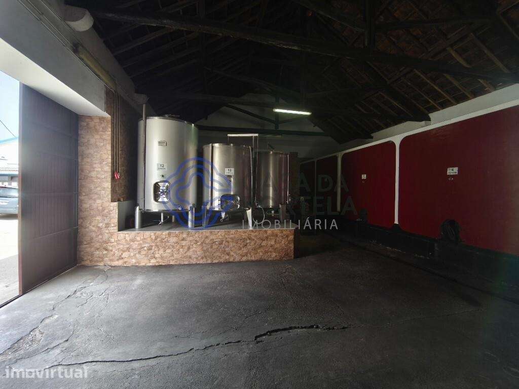 Adega/Armazém em Torres Vedras - Grande imagem: 5/15