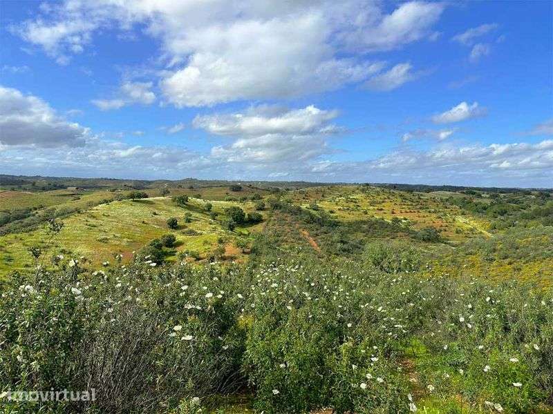 Herdade de 45 ha com Ruína de 300 m² – Próximo da Mina de S. Domingos - Grande imagem: 4/8