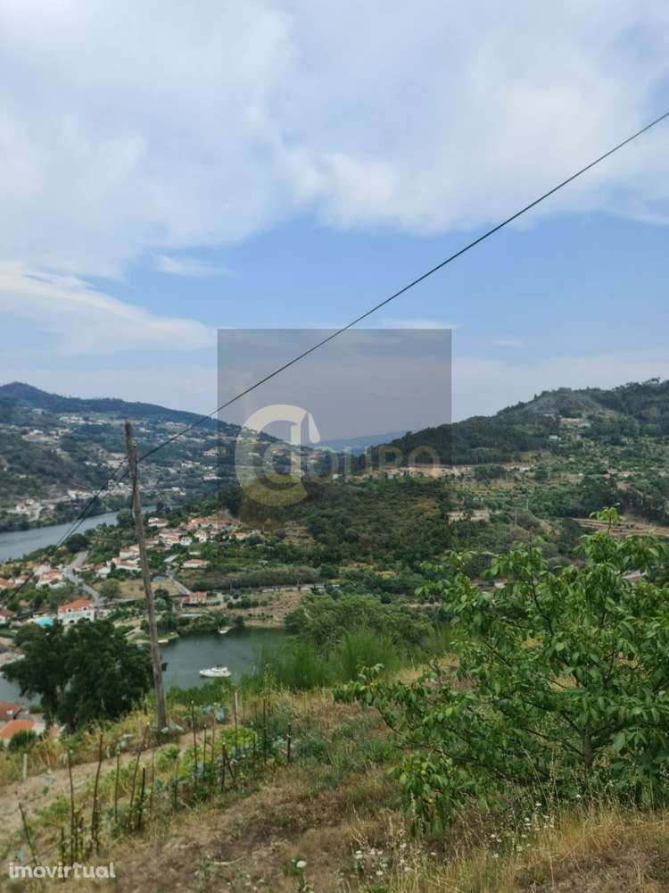 Quinta - Grande imagem: 4/19