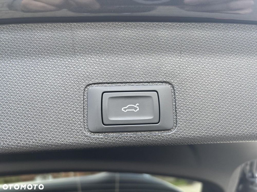 Cupra Terramar - 20