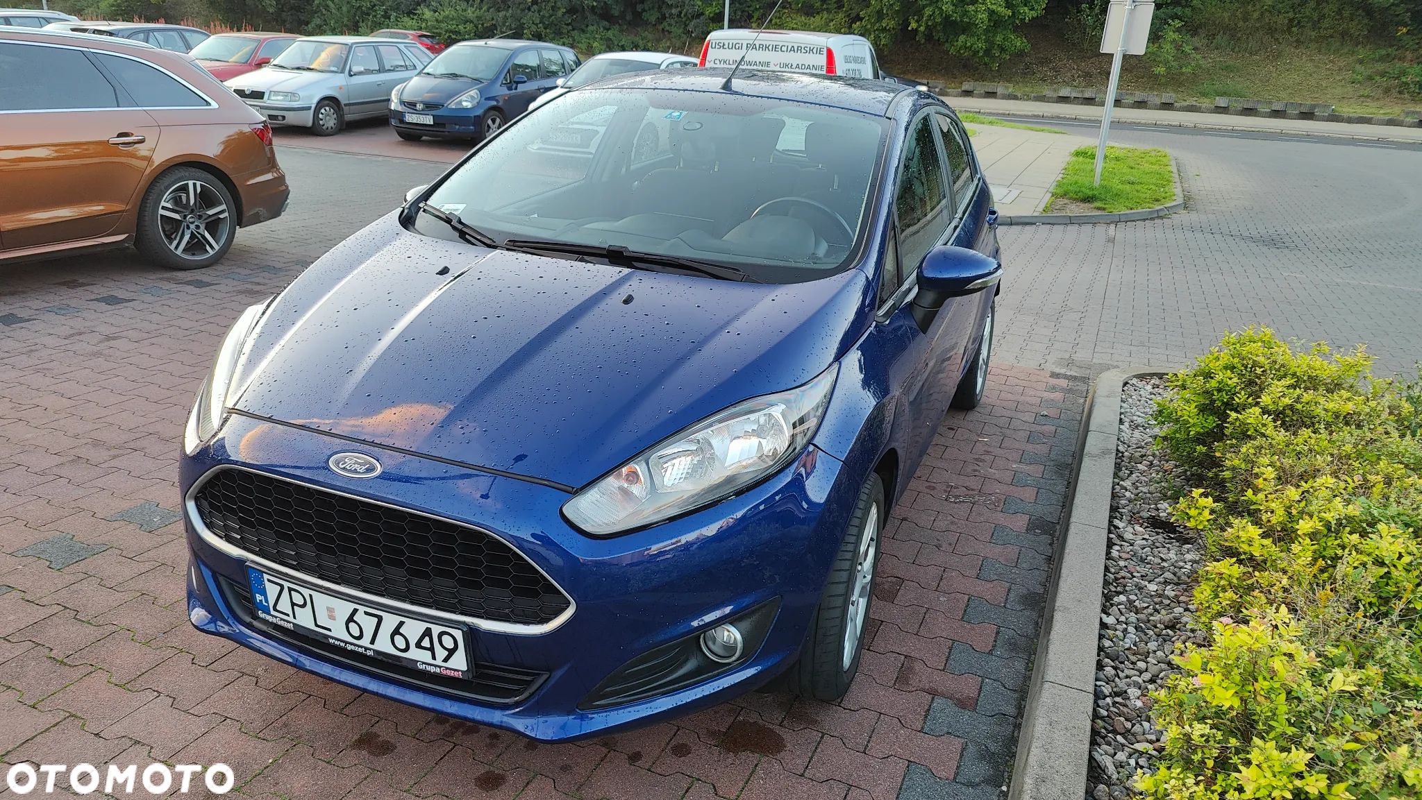Ford Fiesta - 1