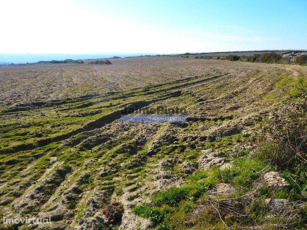 10,9ha de terra plana para plantações. Portugal, F. C. Rodrigo, Bar... - Grande imagem: 2/6