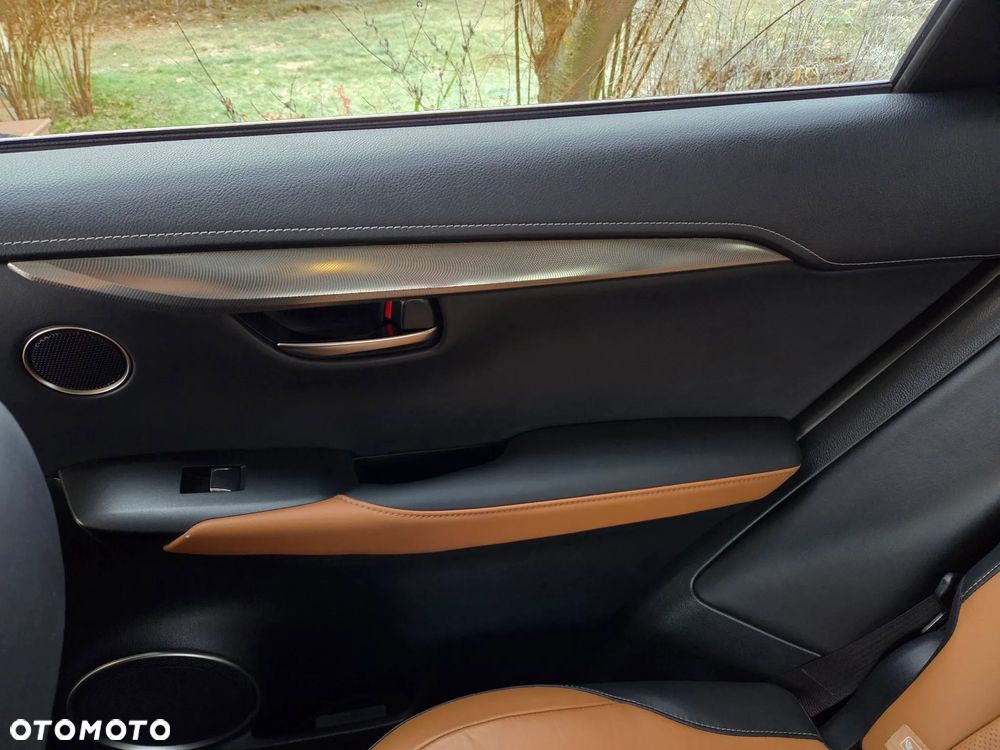 Lexus NX 300 Comfort AWD - 17