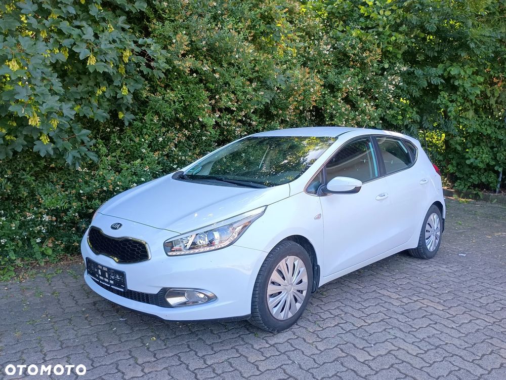 Kia Ceed - 1