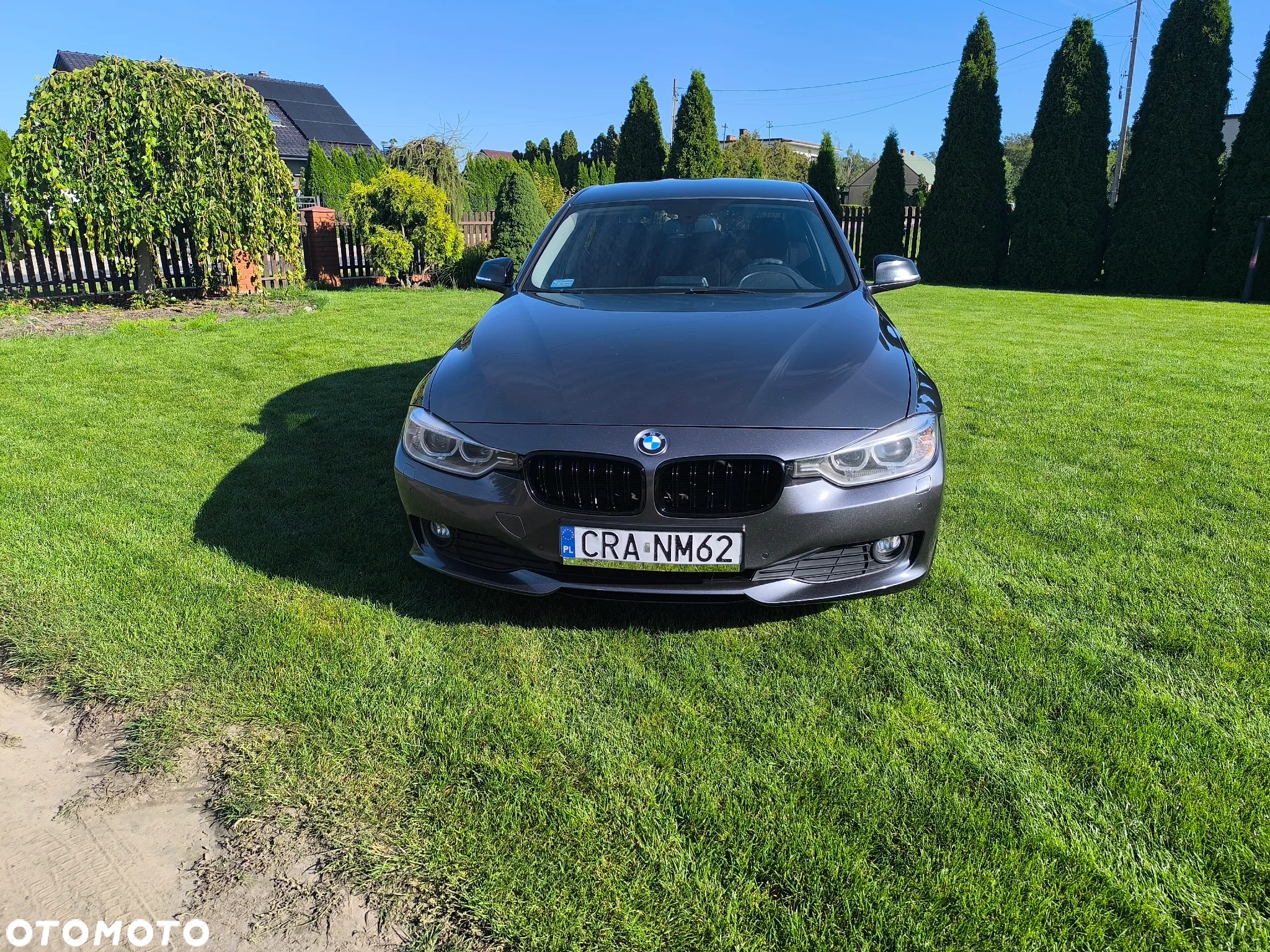 BMW Seria 3 - 2