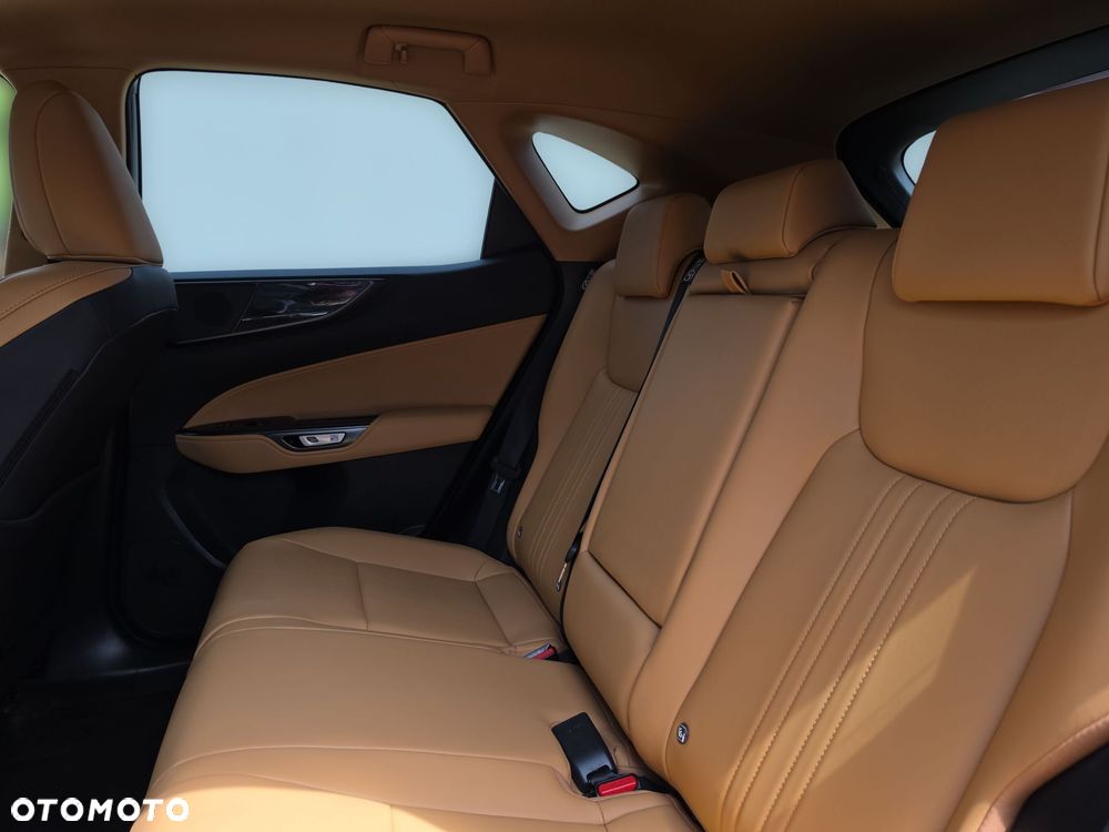 Lexus NX - 26