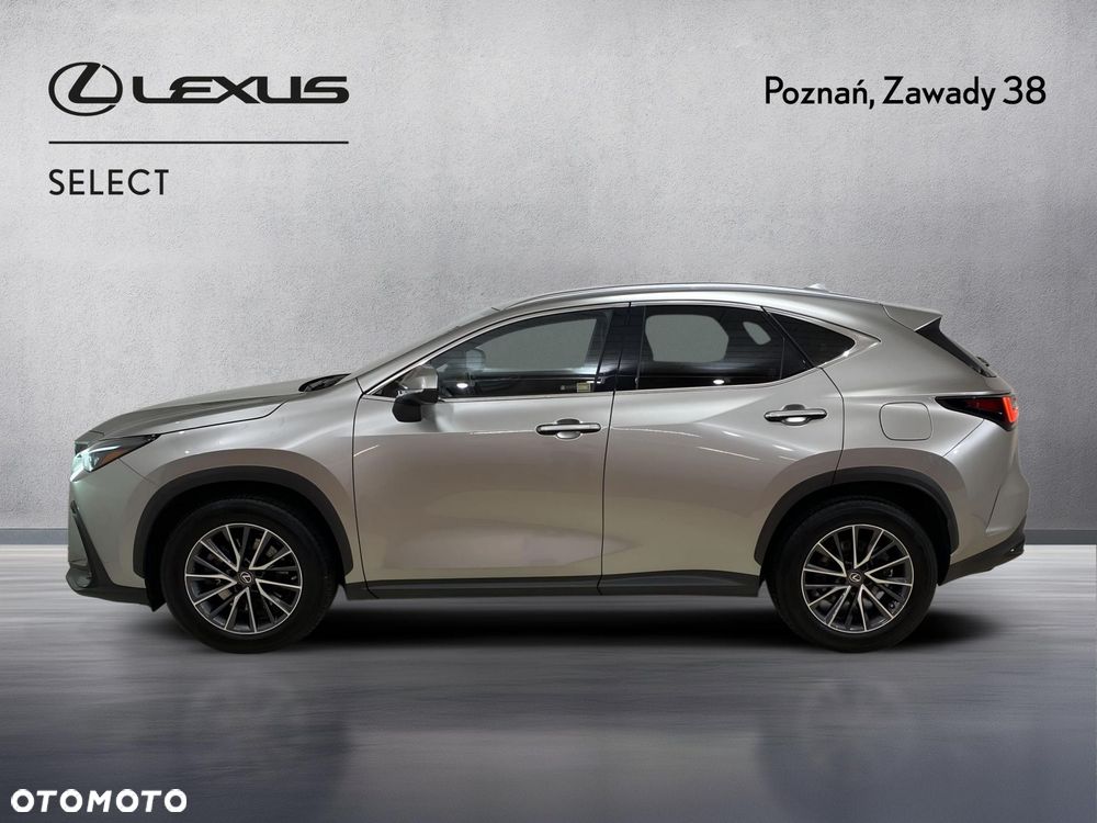 Lexus NX - 7