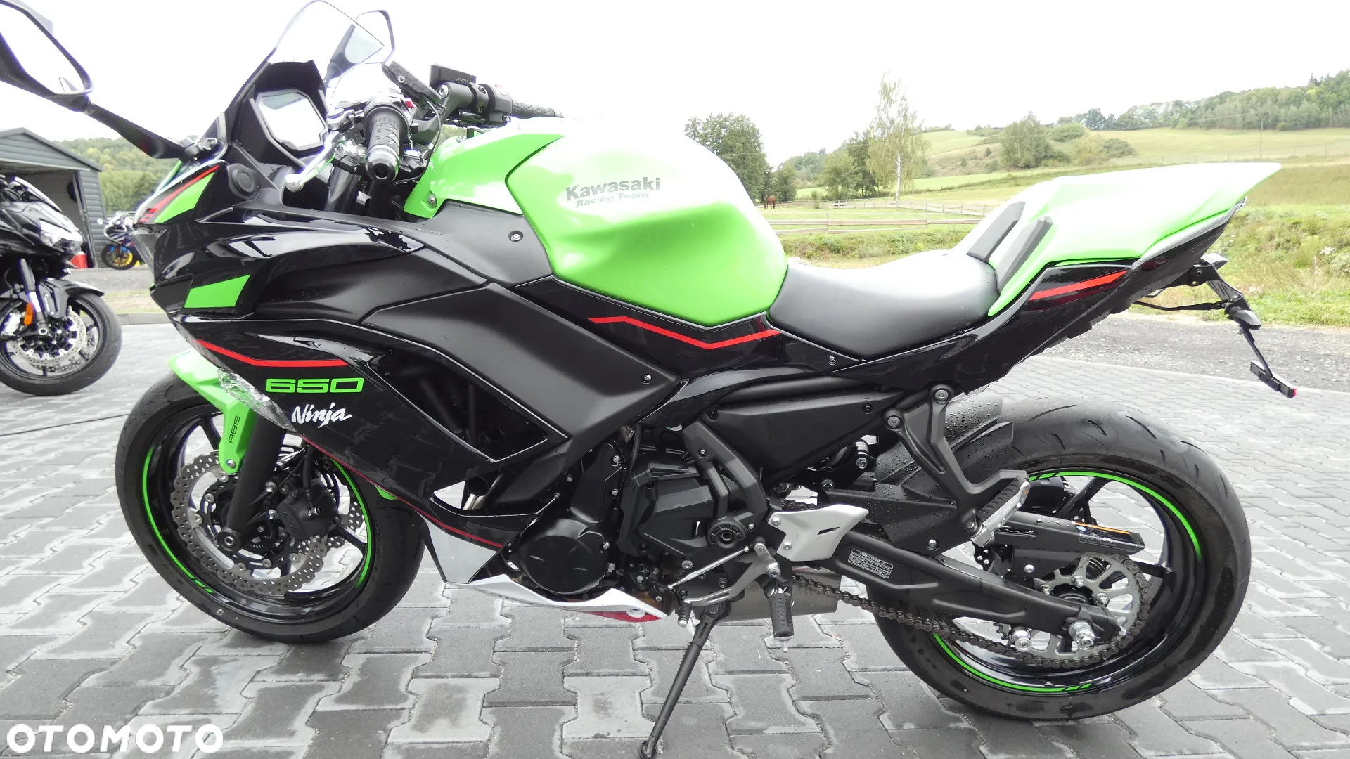 Kawasaki Ninja - 5