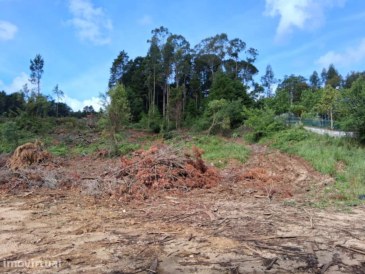 Terreno com 12.300 m² em zona tranquila a minutos de Coimbra - Grande imagem: 4/14