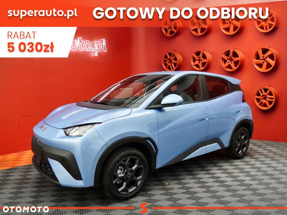 BYD Dolphin Surf - 1